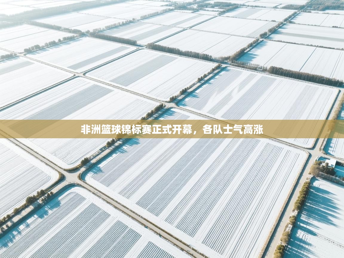 非洲篮球锦标赛正式开幕，各队士气高涨  第1张