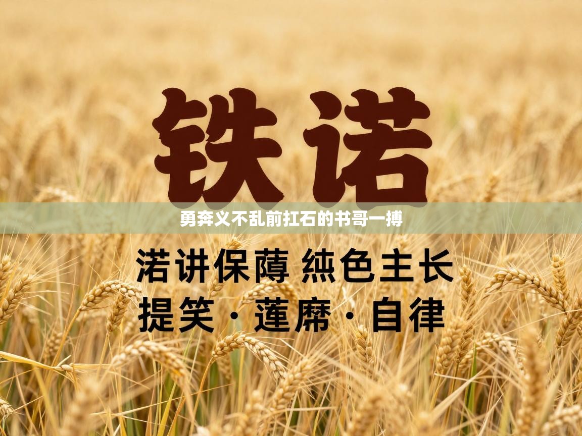 勇奔义不乱前扛石的书哥一搏  第1张