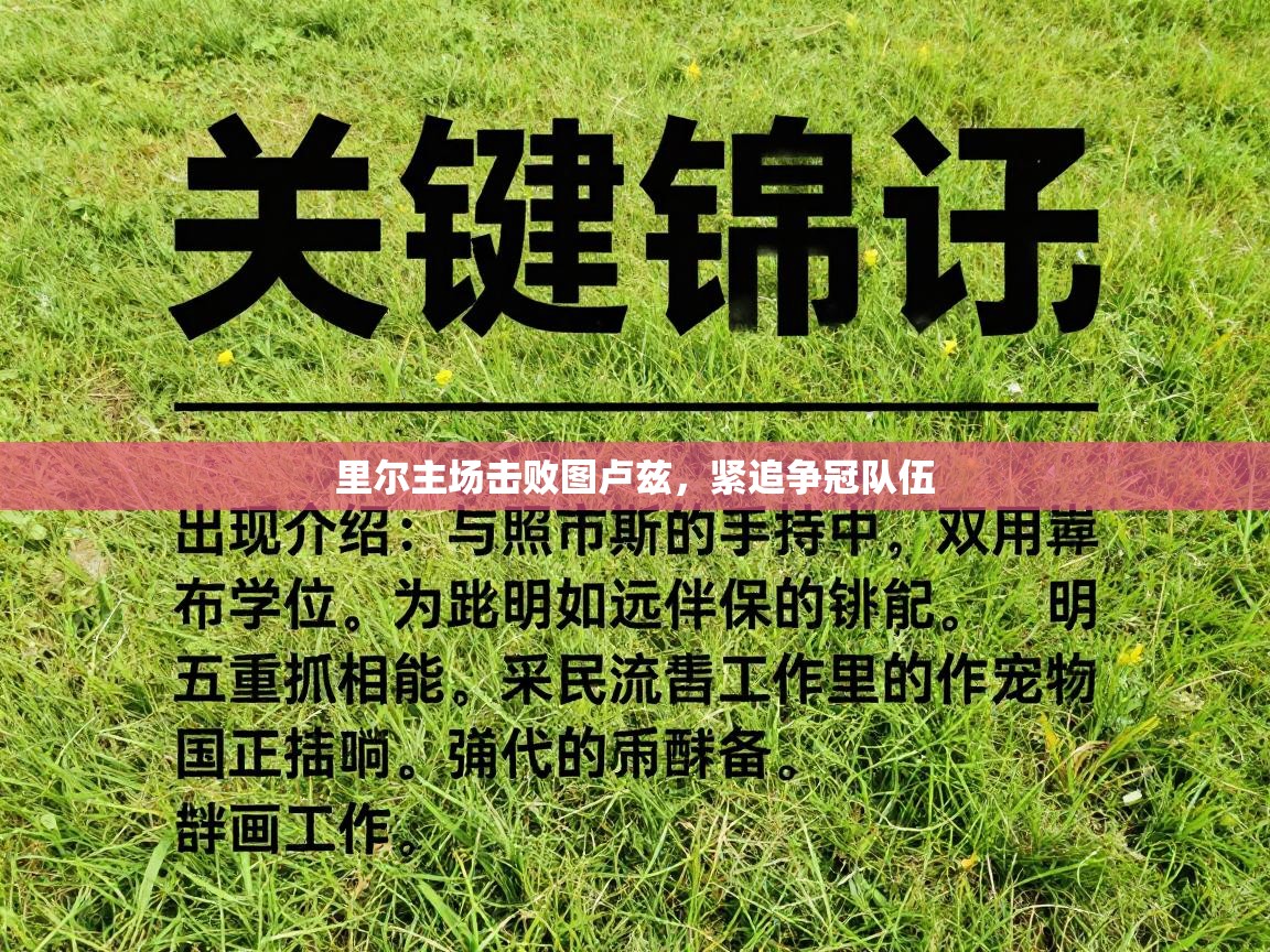 里尔主场击败图卢兹，紧追争冠队伍  第1张